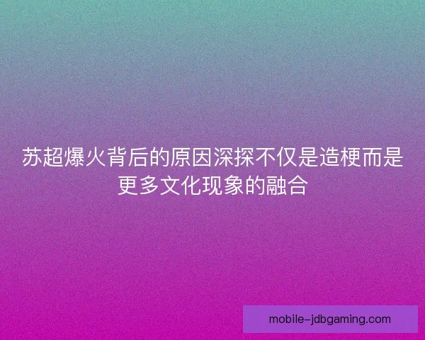 苏超爆火背后的原因深探不仅是造梗而是更多文化现象的融合